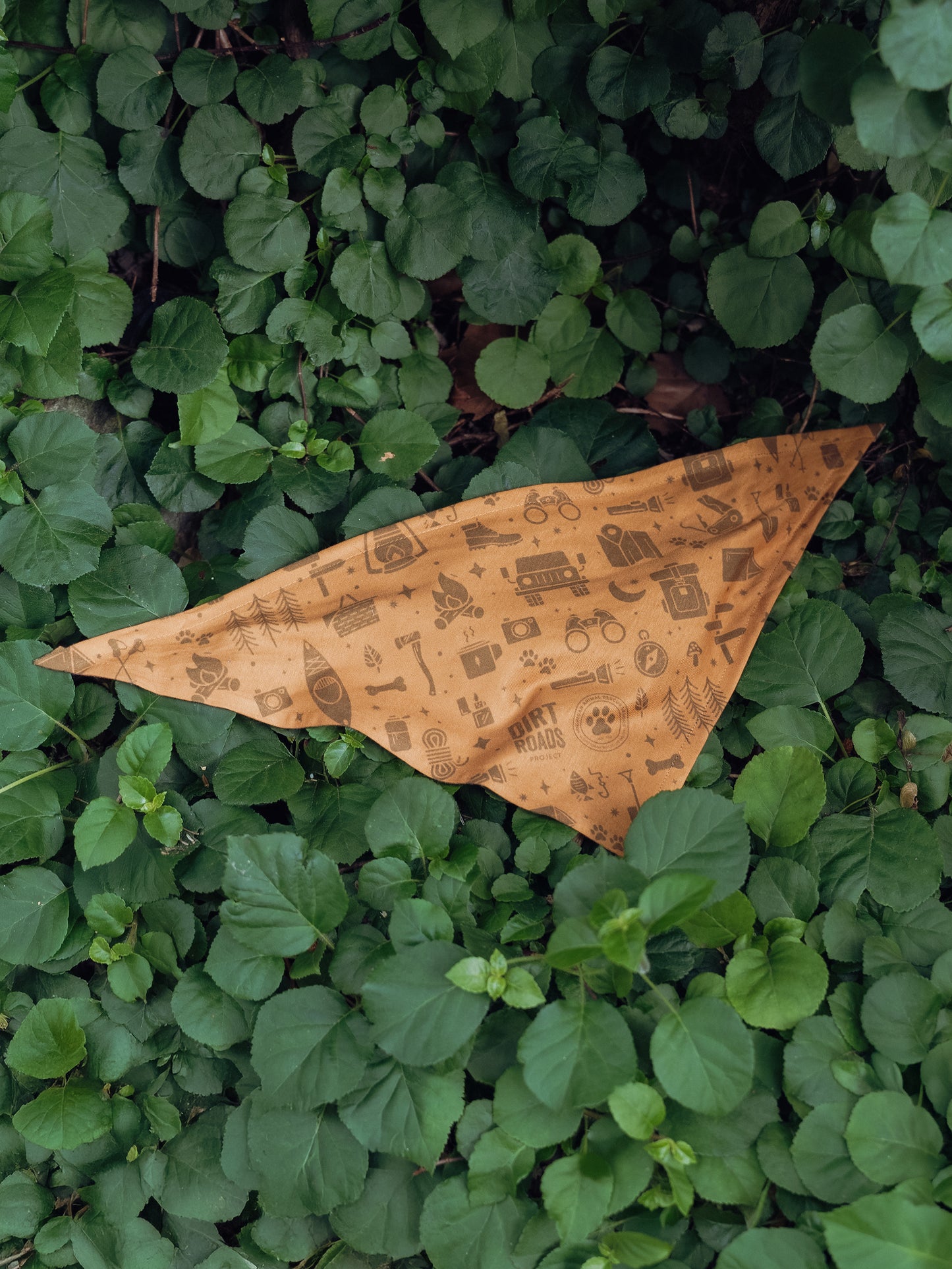 Pet Bandana - Yellow