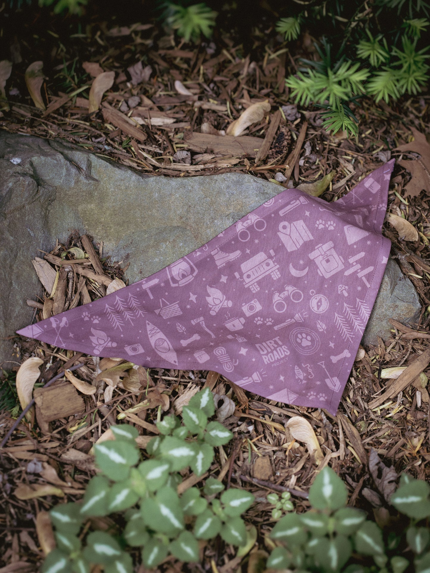 Pet Bandana - Purple