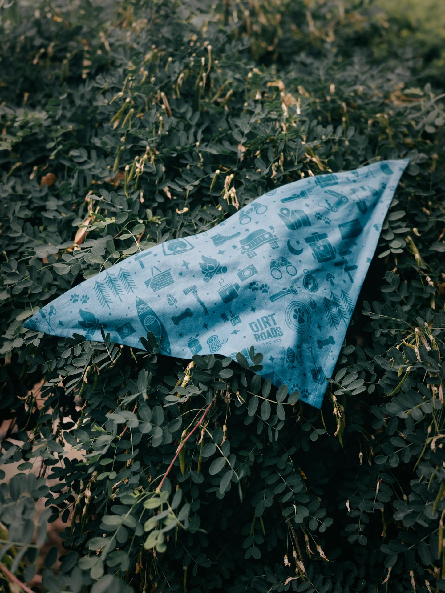 Pet Bandana - Teal