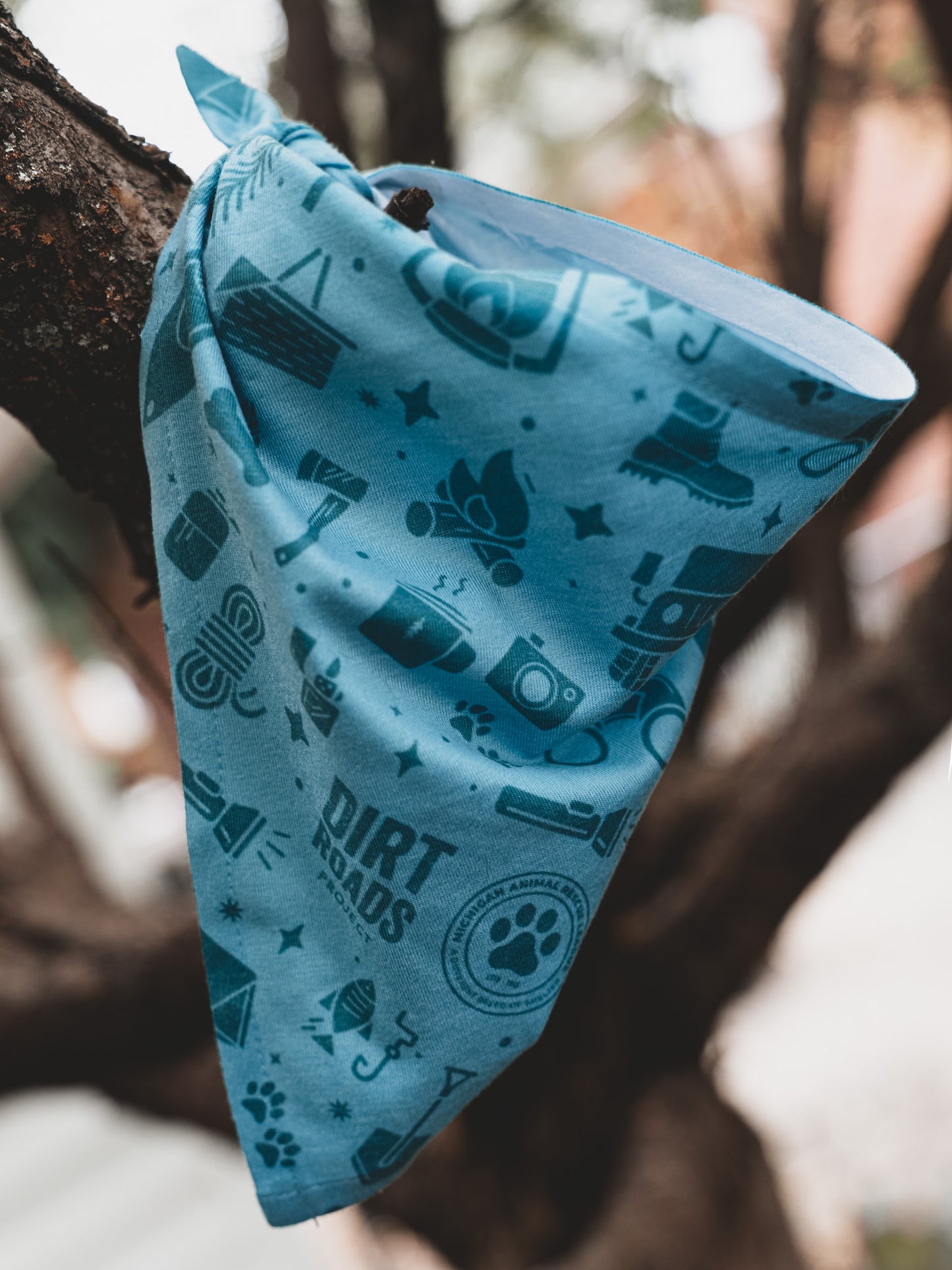 Pet Bandana - Teal