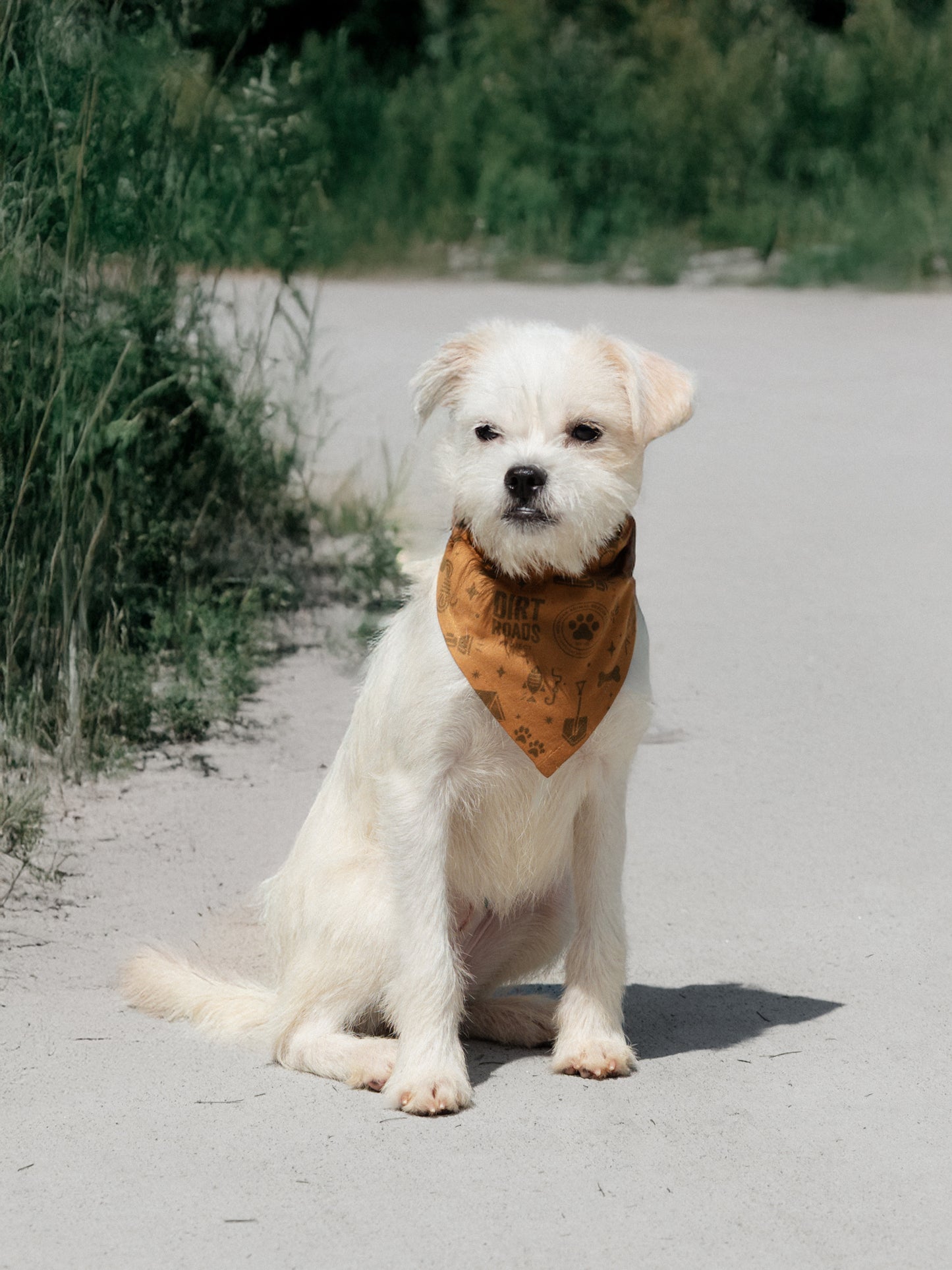 Pet Bandana - Yellow