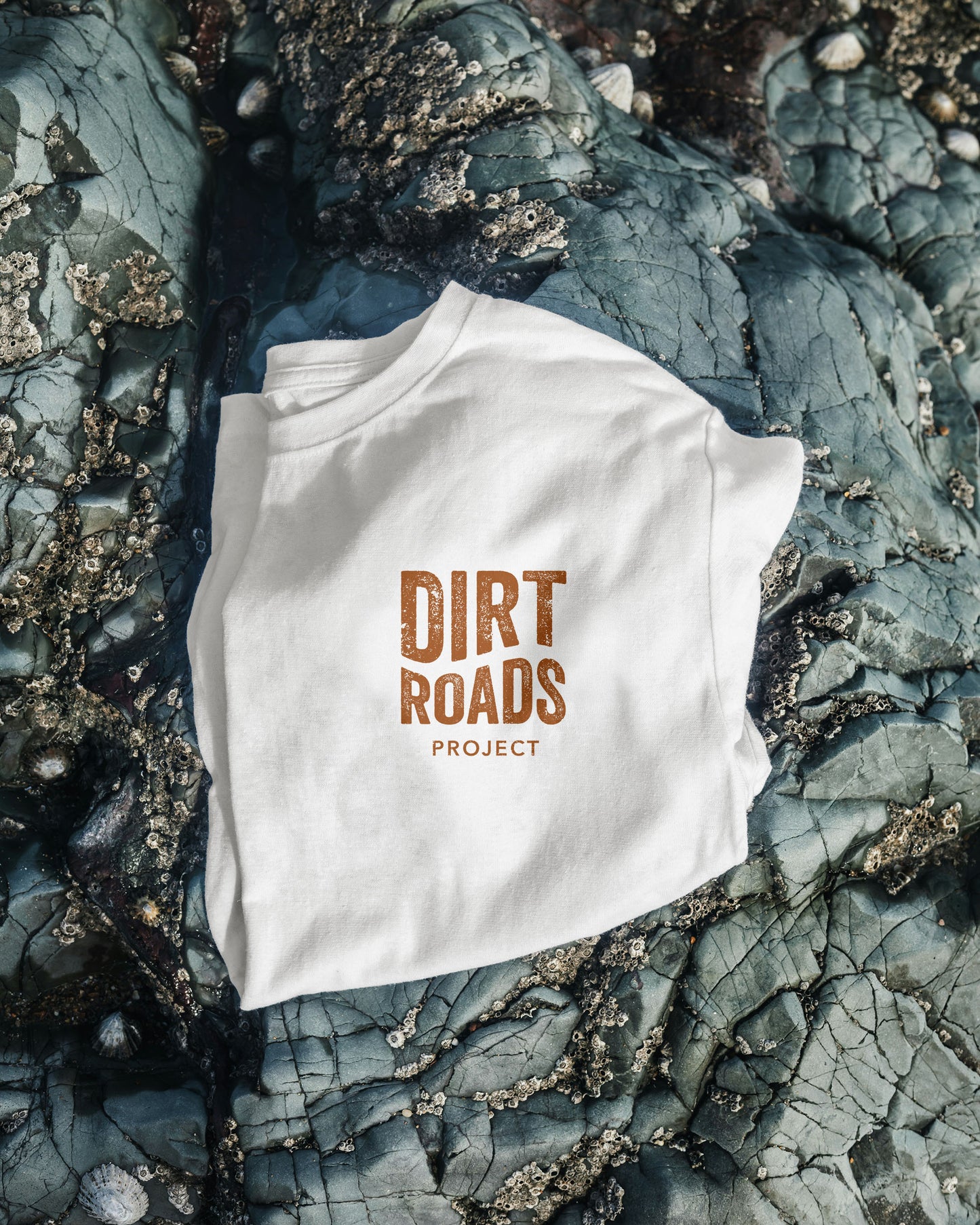 Chase the Horizon Boxy Tee