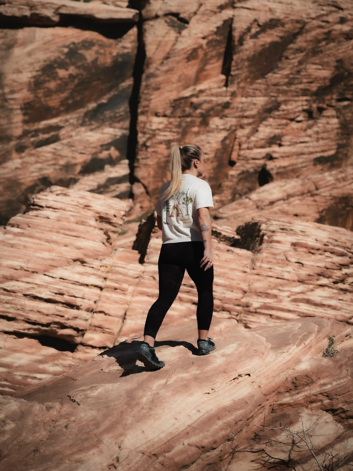 Protect Our National Parks Boxy Tee
