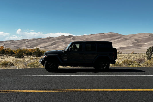 Tips for Road Tripping with Your Dog