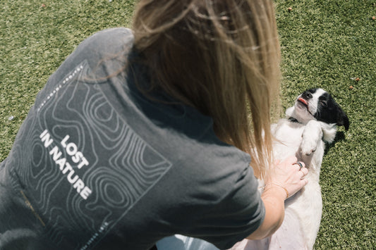 Paws for a Cause: Supporting the Michigan Animal Rescue League