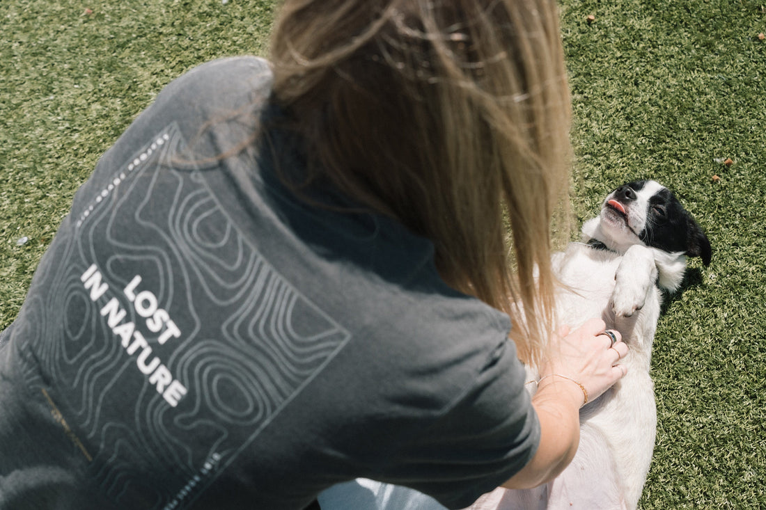 Paws for a Cause: Supporting the Michigan Animal Rescue League