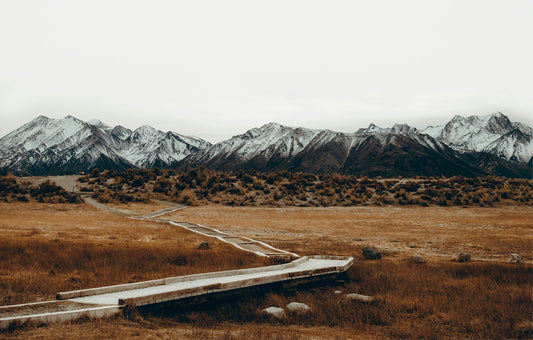 How to Have a More Eco-Conscious Holiday