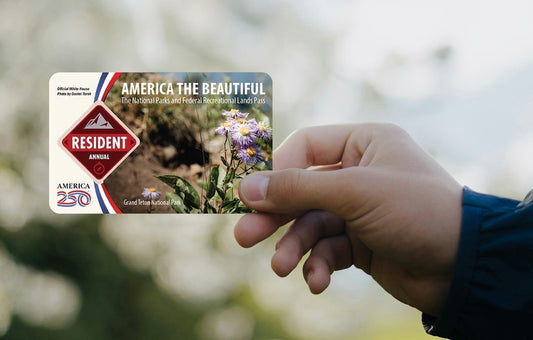 A National Park Pass that Puts the Focus Back on Our Parks
