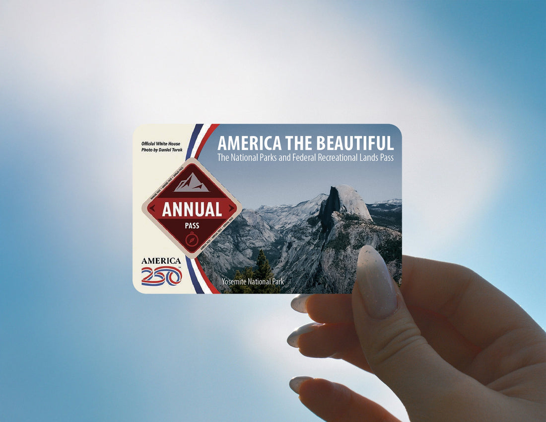 Designing a Sticker to Put Our National Parks Front and Center