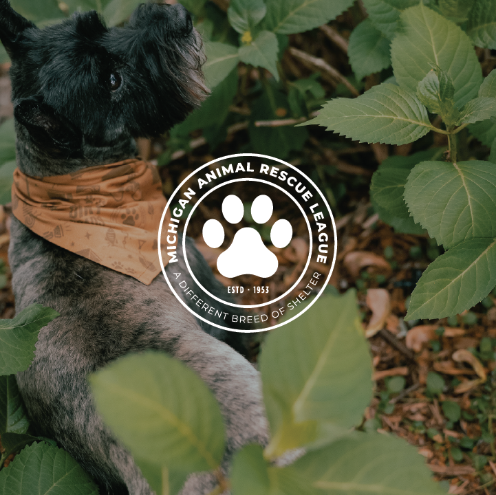Michigan Animal Rescue League