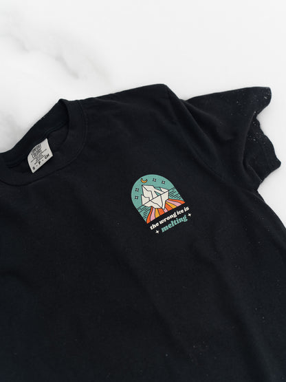 The Wrong Ice is Melting - Support MN Mutual Aid!