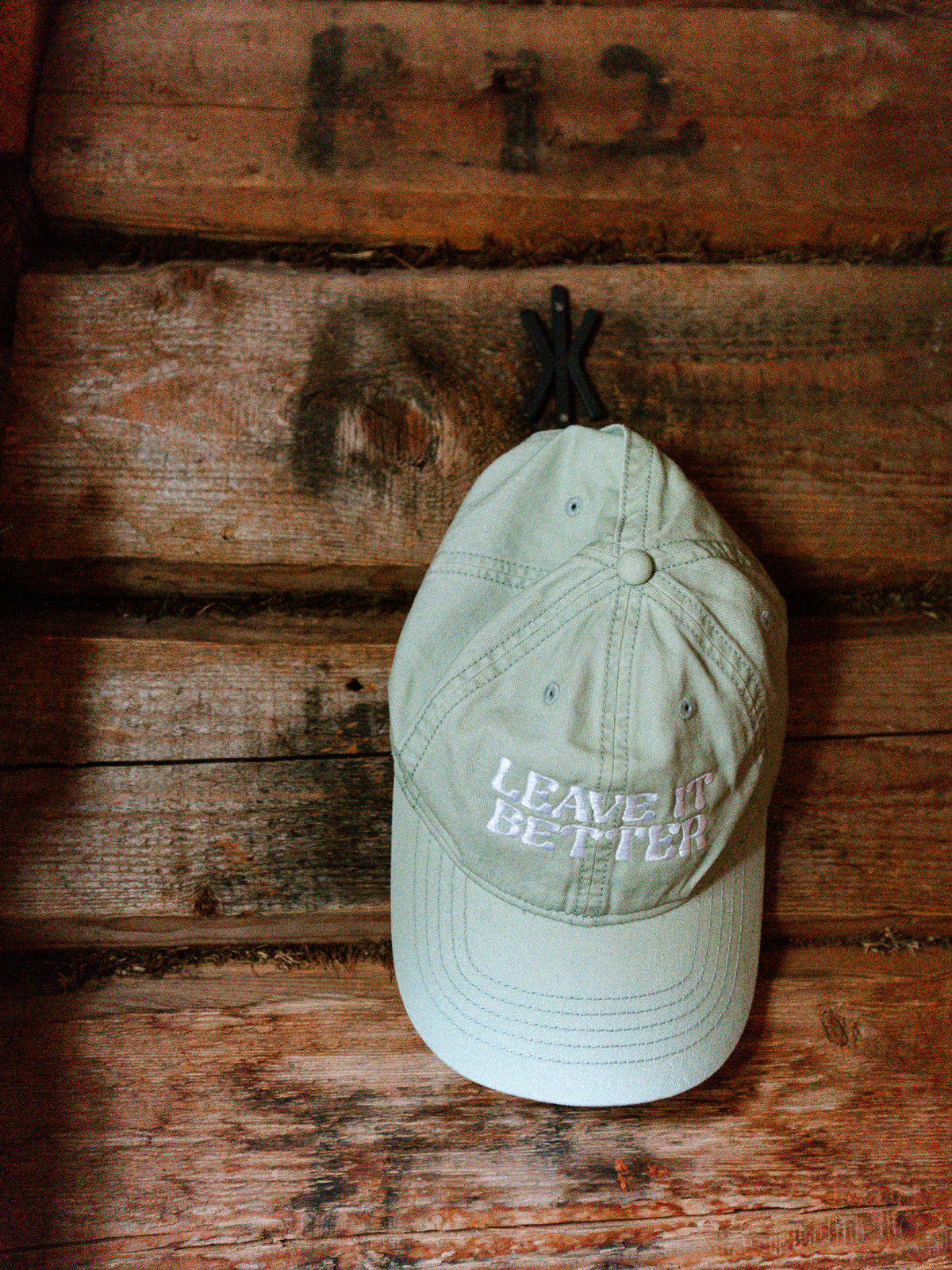 Women's Leave It Better Cap
