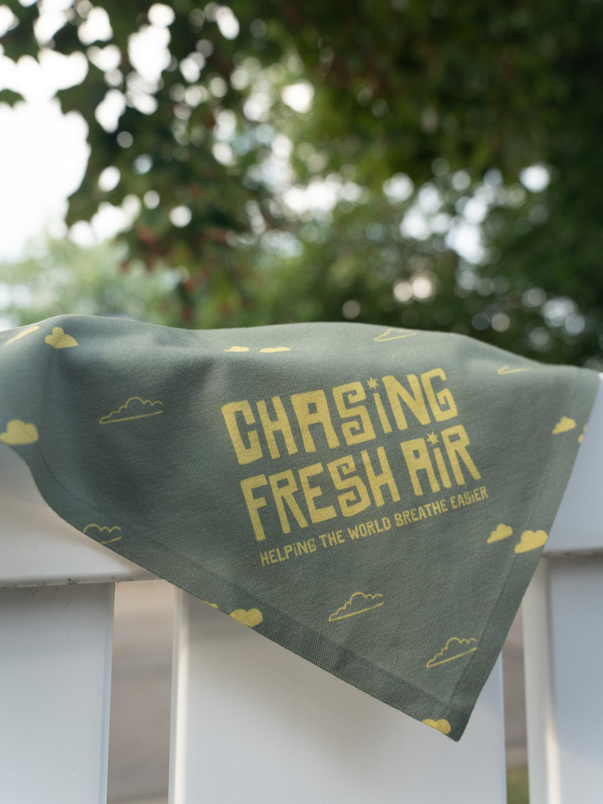 Chasing Fresh Air Pet Bandana