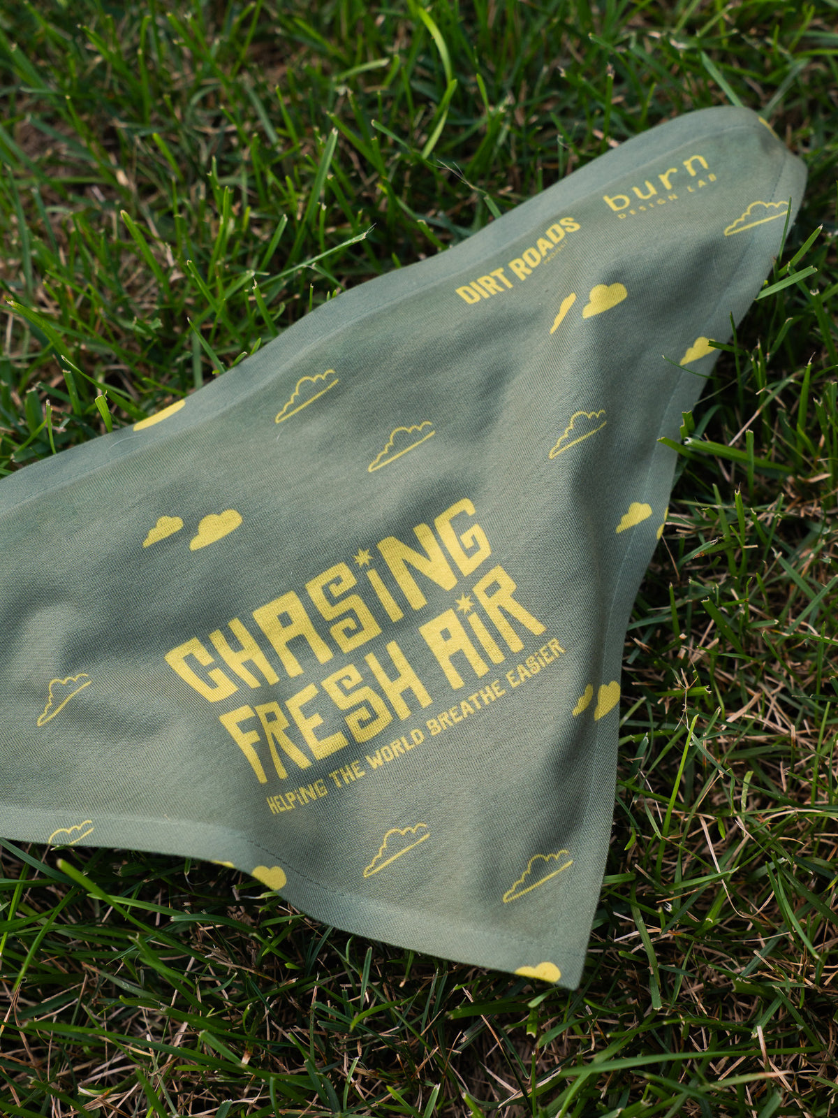 Chasing Fresh Air Pet Bandana