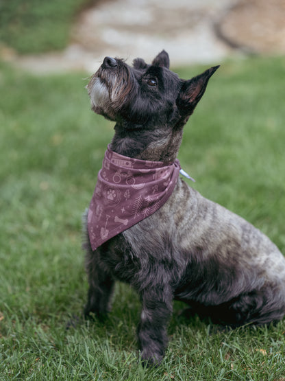 Pet Bandana - Purple