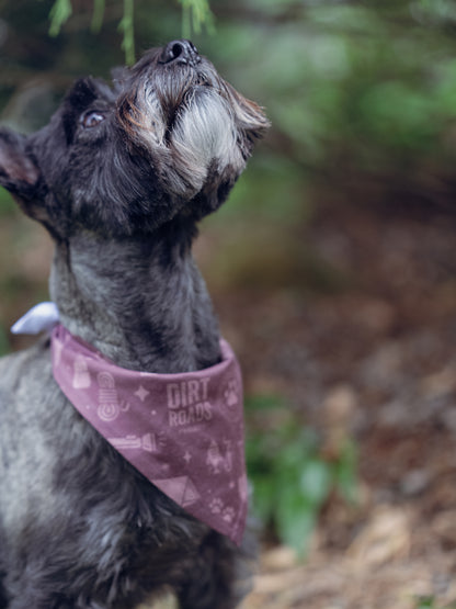 Pet Bandana - Purple