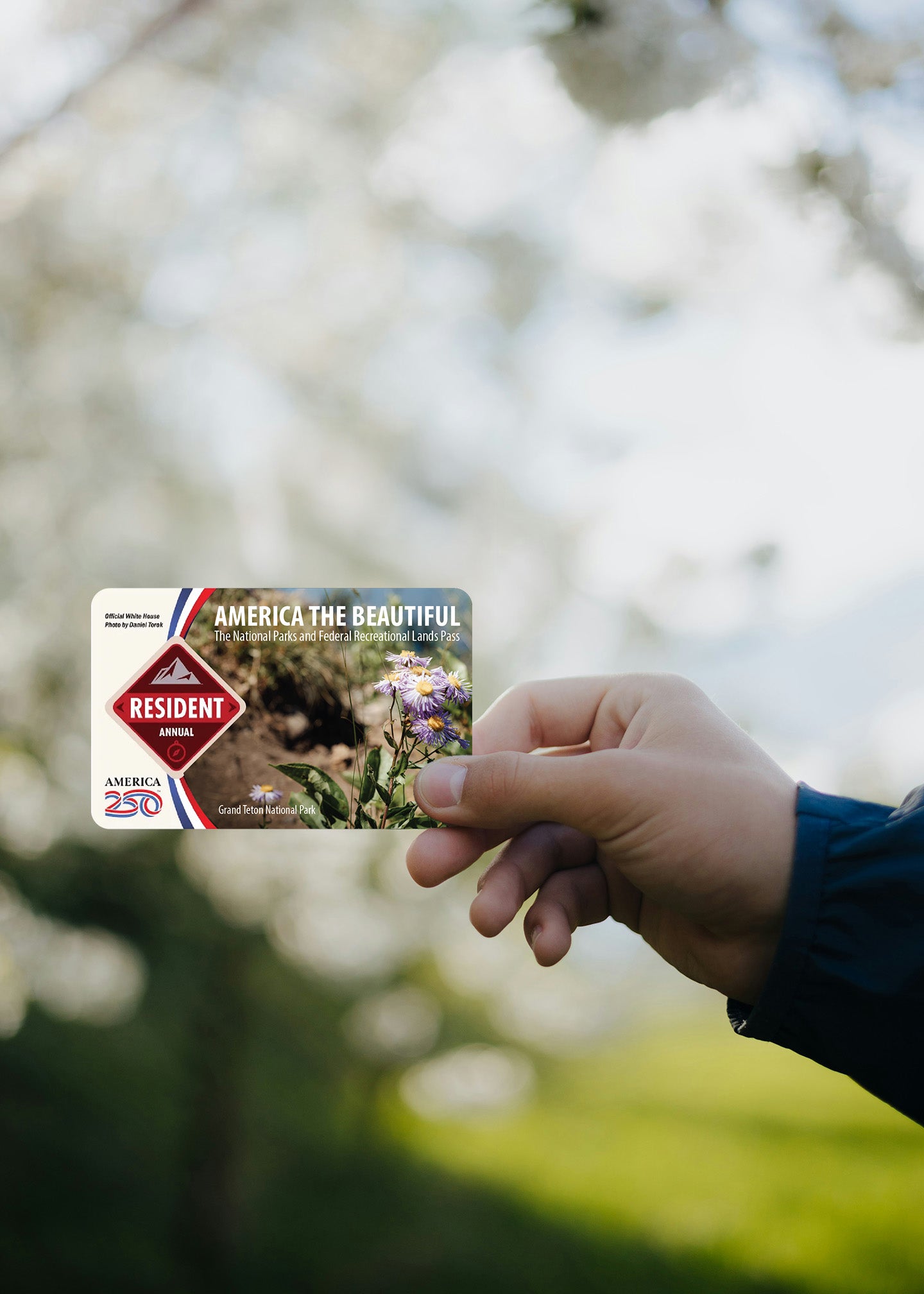 National Park Overlay Sticker