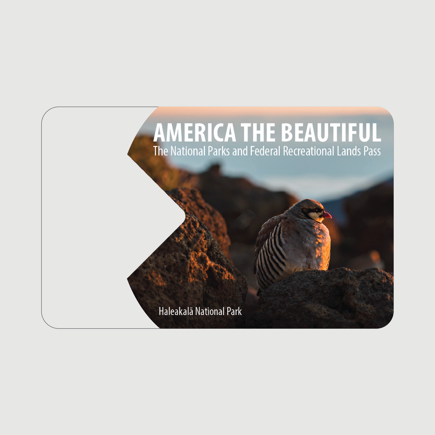 National Park Overlay Sticker