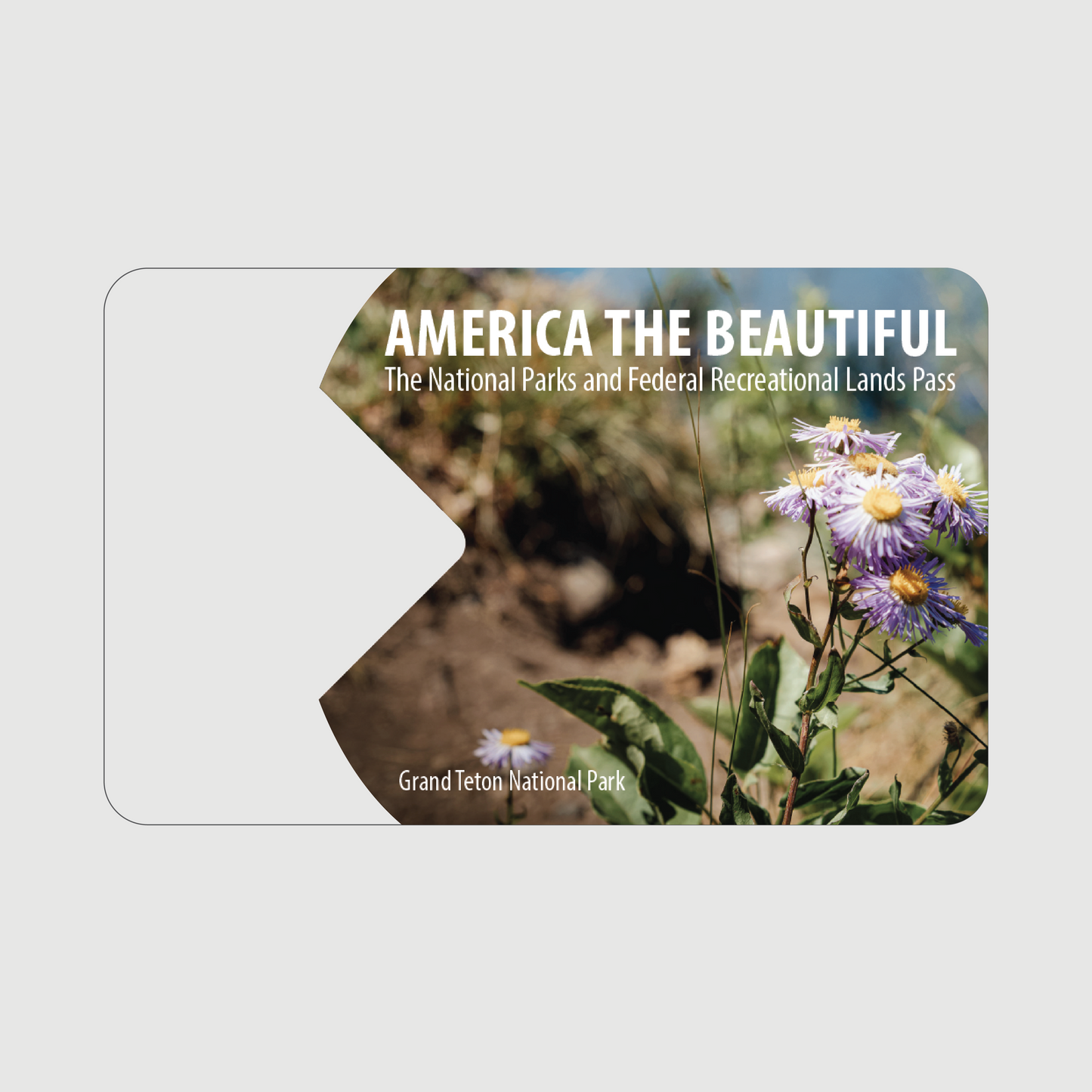 National Park Overlay Sticker