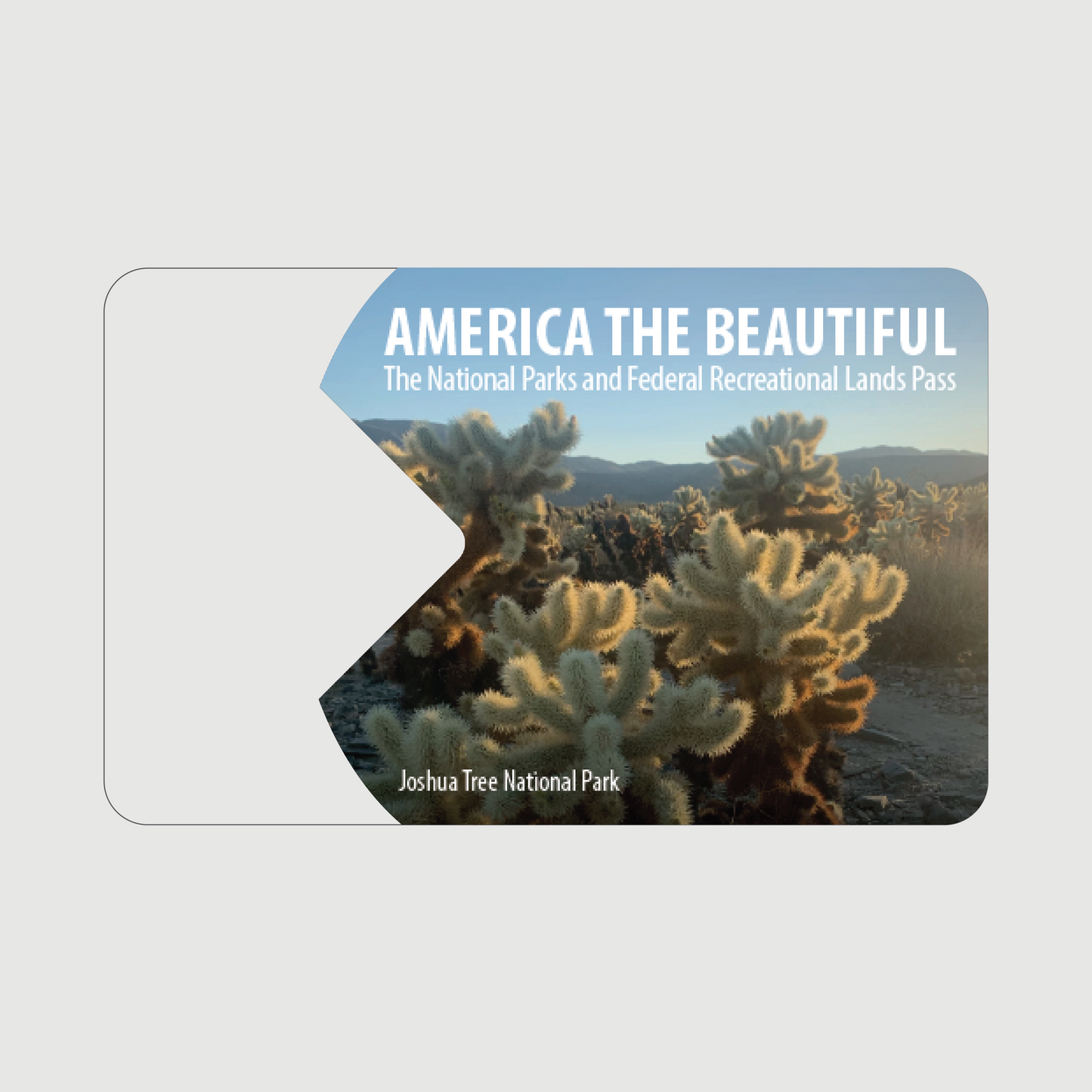 National Park Pass Overlay Sticker - Give Back to Our National Parks!