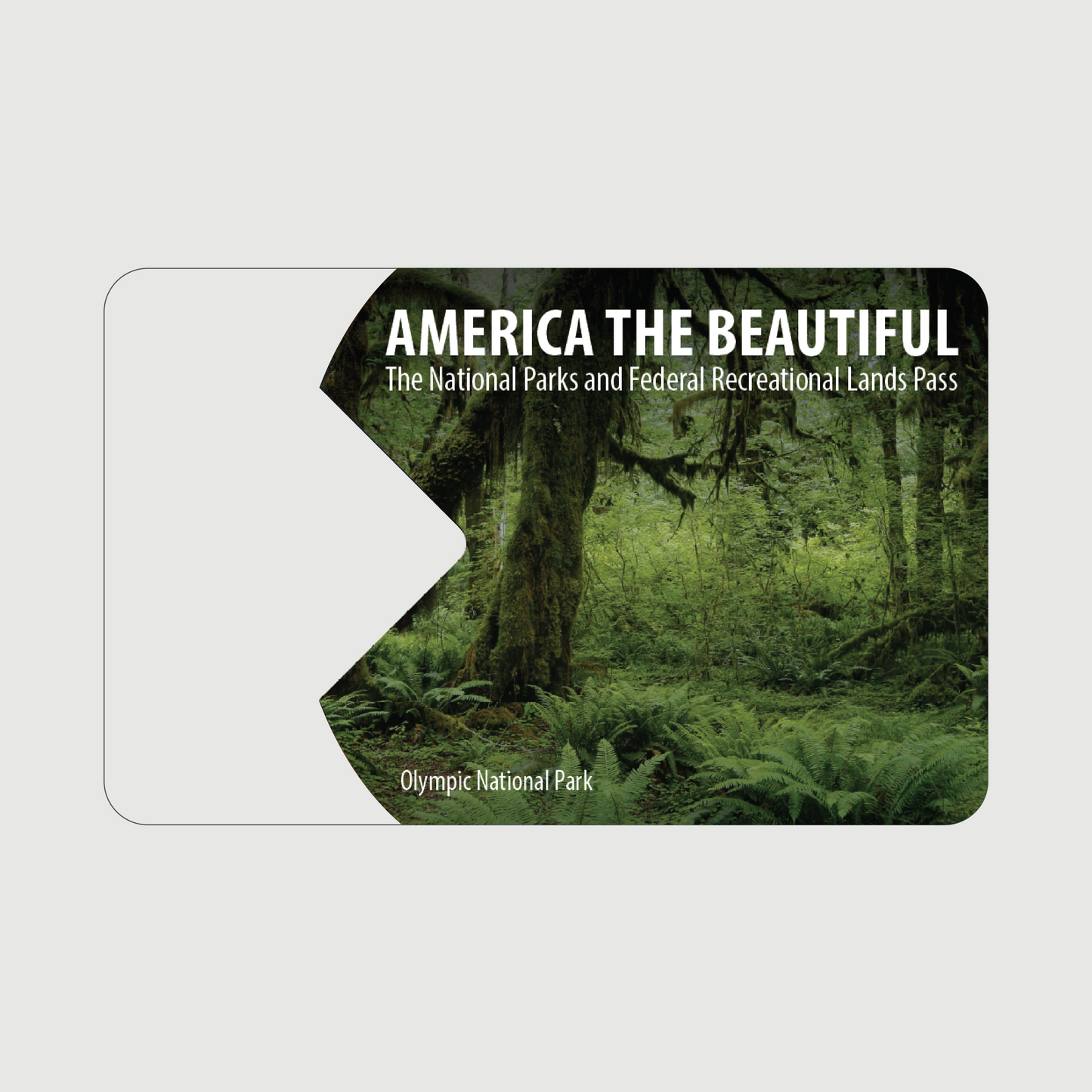 National Park Pass Overlay Sticker - Give Back to Our National Parks!
