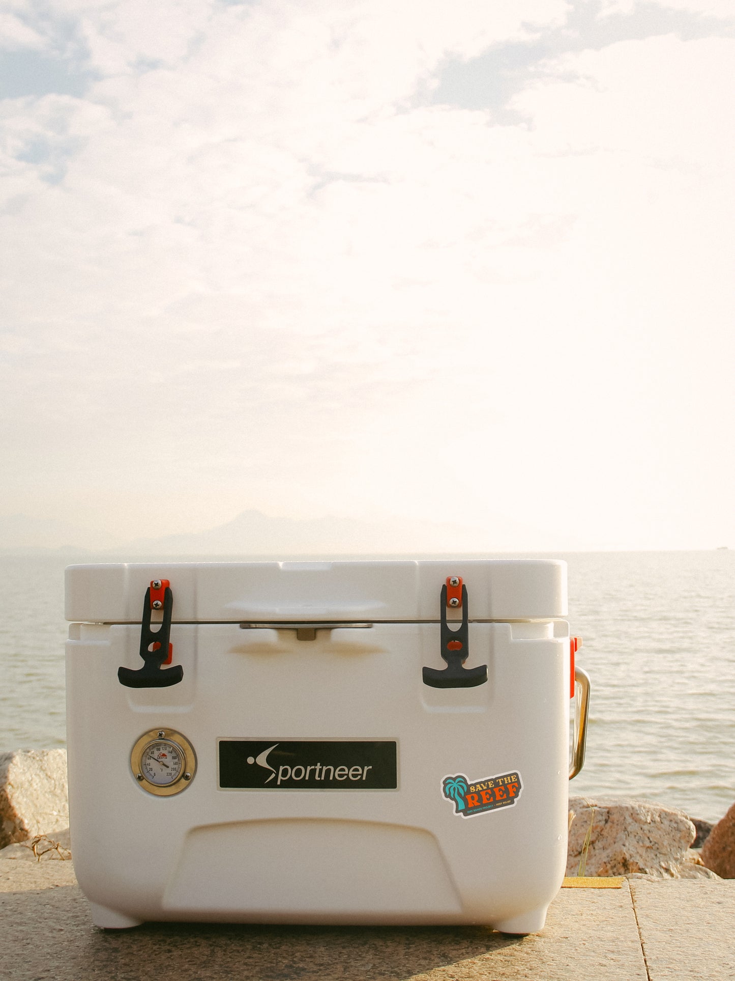 Save the Reef (Palm) Sticker